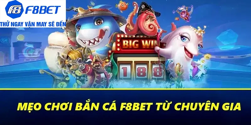 kinh nghiệm bắn cá f8bet