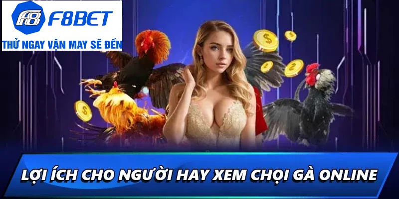 lợi ích khi xem video đá gà online